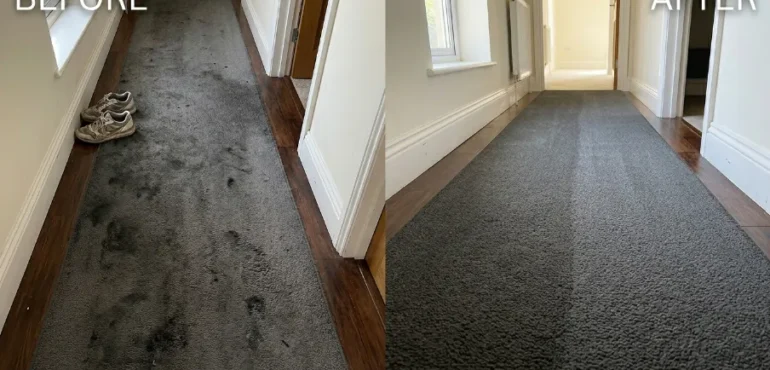 Before and after carpet steam cleaning — South Clean Melbourne